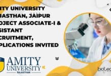 Amity University Rajasthan Project