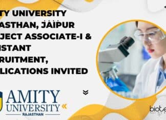 Amity University Rajasthan Project