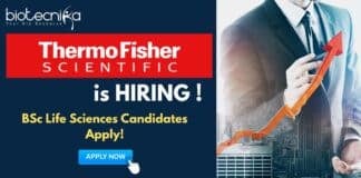 BSc Job at Thermo