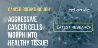 Cancer Cells Morph Into Healthy
