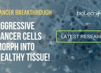Cancer Cells Morph Into Healthy