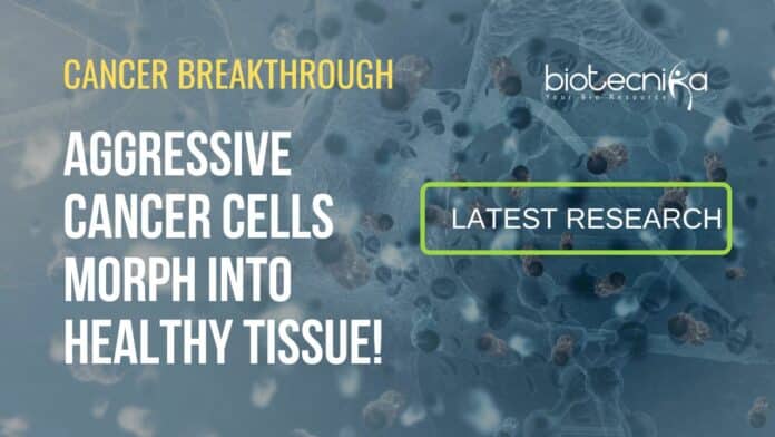 Cancer Cells Morph Into Healthy