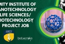 Amity Institute of Nanotechnology Life Sciences/Biotechnology Project Job Project Assistant Job at
