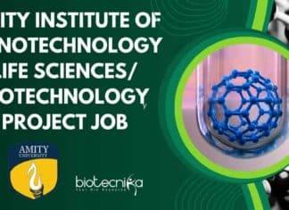Project Assistant Job at
