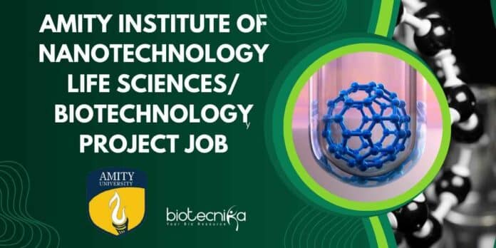 Project Assistant Job at