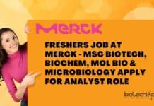 Freshers Job at Merck