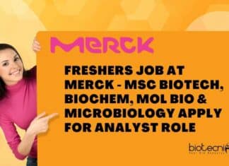 Freshers Job at Merck