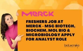 Freshers Job at Merck