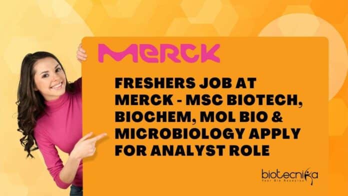 Freshers Job at Merck