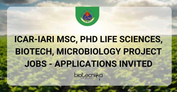 IARI Project Vacancies