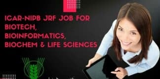 ICAR-NIPB JRF Job