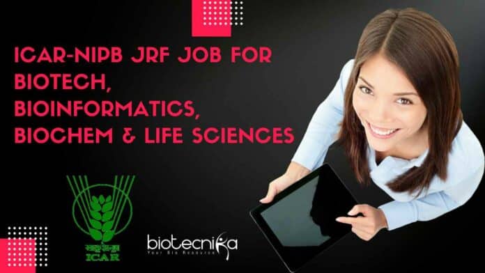 ICAR-NIPB JRF Job