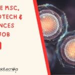 IISER Pune MSc, BTech Biotech & Life Sciences Project Job – Apply Online IISER Pune MSc BTech