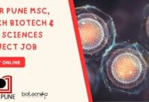 IISER Pune MSc, BTech Biotech & Life Sciences Project Job – Apply Online IISER Pune MSc BTech