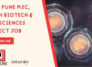 IISER Pune MSc BTech
