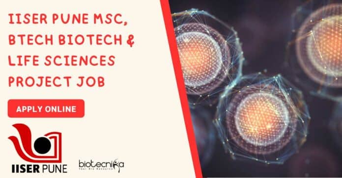 IISER Pune MSc BTech