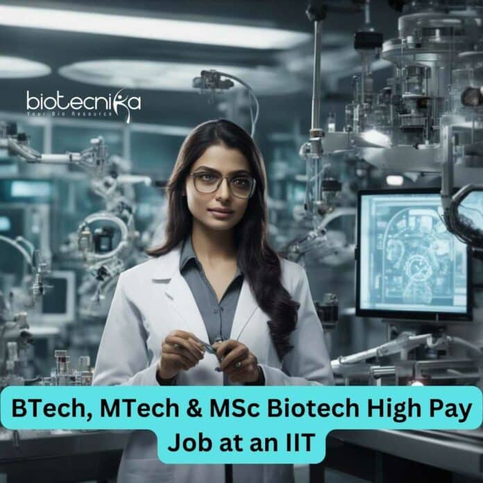 IIT Madras Project Job
