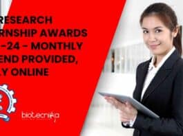 IITB Research Internship Awards 2023-24