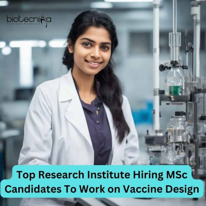 IMTECH Vacancy Project Recruitment