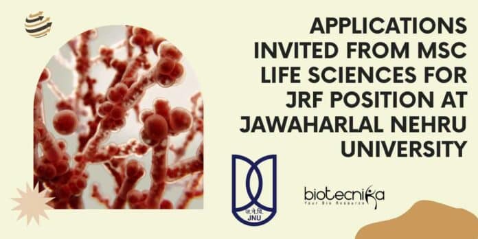 JRF Position for MSc Candidates at Jawaharlal Nehru University