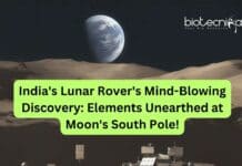 India’s Lunar Rover’s Mind-Blowing Discovery: Elements Unearthed at Moon’s South Pole! India's Lunar Rover's Discovery