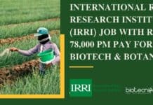 International Rice Research Institute (IRRI) Job With Rs. 78,000 pm Pay For Biotech & Botany International Rice Research Institute