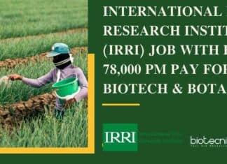 International Rice Research Institute