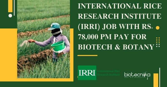 International Rice Research Institute
