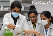 Panjab University RA Job For MTech, PhD Biotech & Botany – Applications Invited Panjab University RA Job