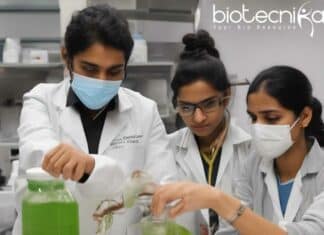 Panjab University RA Job