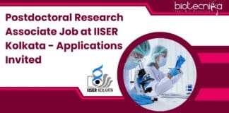 Postdoctoral Research Associate Job