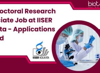 Postdoctoral Research Associate Job