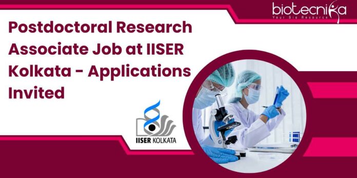 Postdoctoral Research Associate Job