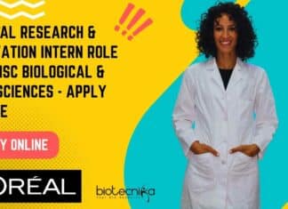 L’Oréal Intern Job Opening