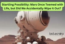 Startling Possibility: Mars Once Teemed with Life, but Did We Accidentally Wipe It Out? Life on Mars Destroyed