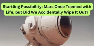 Life on Mars Destroyed
