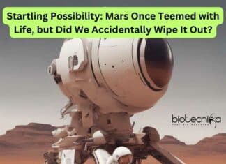 Life on Mars Destroyed