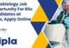 Microbiology Job at Cipla