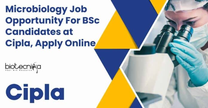 Microbiology Job at Cipla