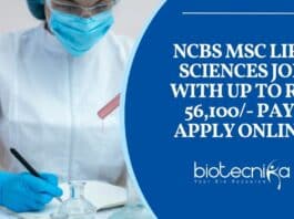 NCBS MSc Life Sciences Job With Up to Rs. 56,100/- Pay, Apply Online
