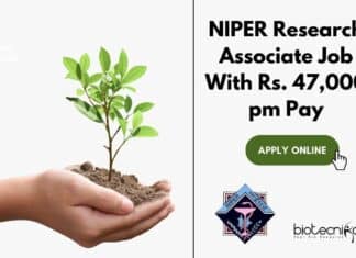 NIPER Research Associate Post