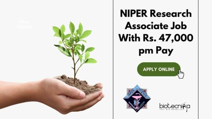NIPER Research Associate Post