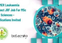PGIMER Leukaemia Project JRF Job For MSc Life Sciences – Applications Invited PGIMER JRF Project Post