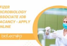 Pfizer Microbiology Associate Job Vacancy - Apply Online