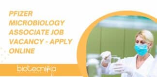Pfizer Microbiology Associate Job Vacancy - Apply Online