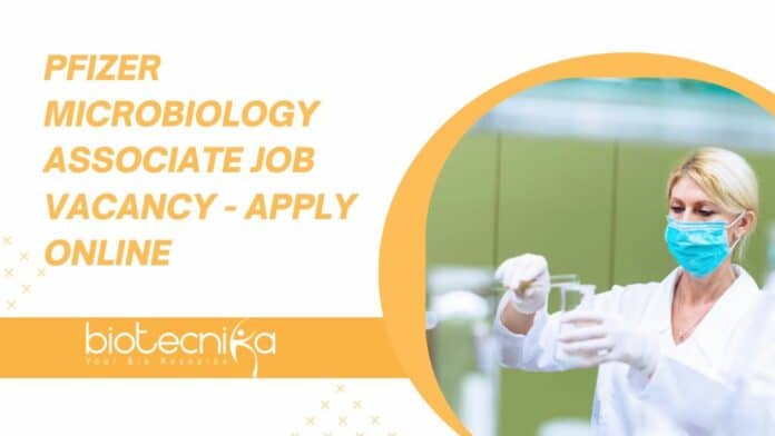 Pfizer Microbiology Associate Job Vacancy - Apply Online