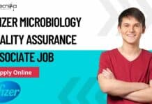 Pfizer Microbiology Quality Assurance Associate Job – Apply Online Pfizer Microbiology Quality Assurance