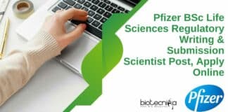 Pfizer Regulatory Writing Scientist