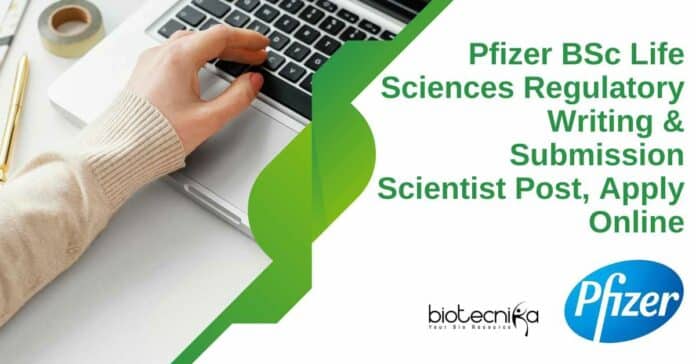 Pfizer Regulatory Writing Scientist