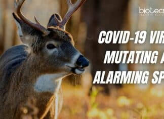 COVID-19 Virus Mutating
